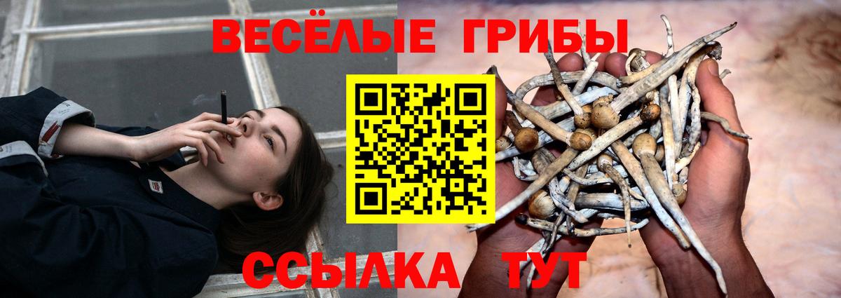 Галлюциногенные грибы мухоморы Стрежевой